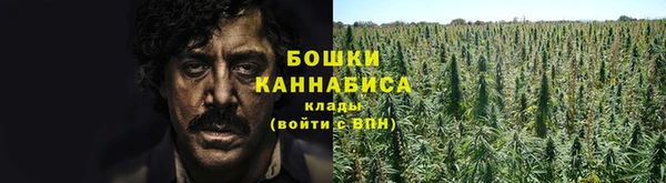 прущие крисы Алексин