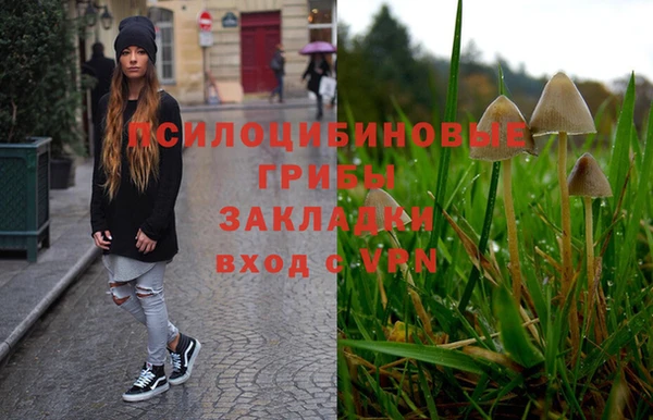 МДПВ Алексеевка
