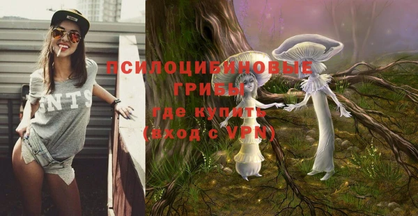 МДПВ Алексеевка
